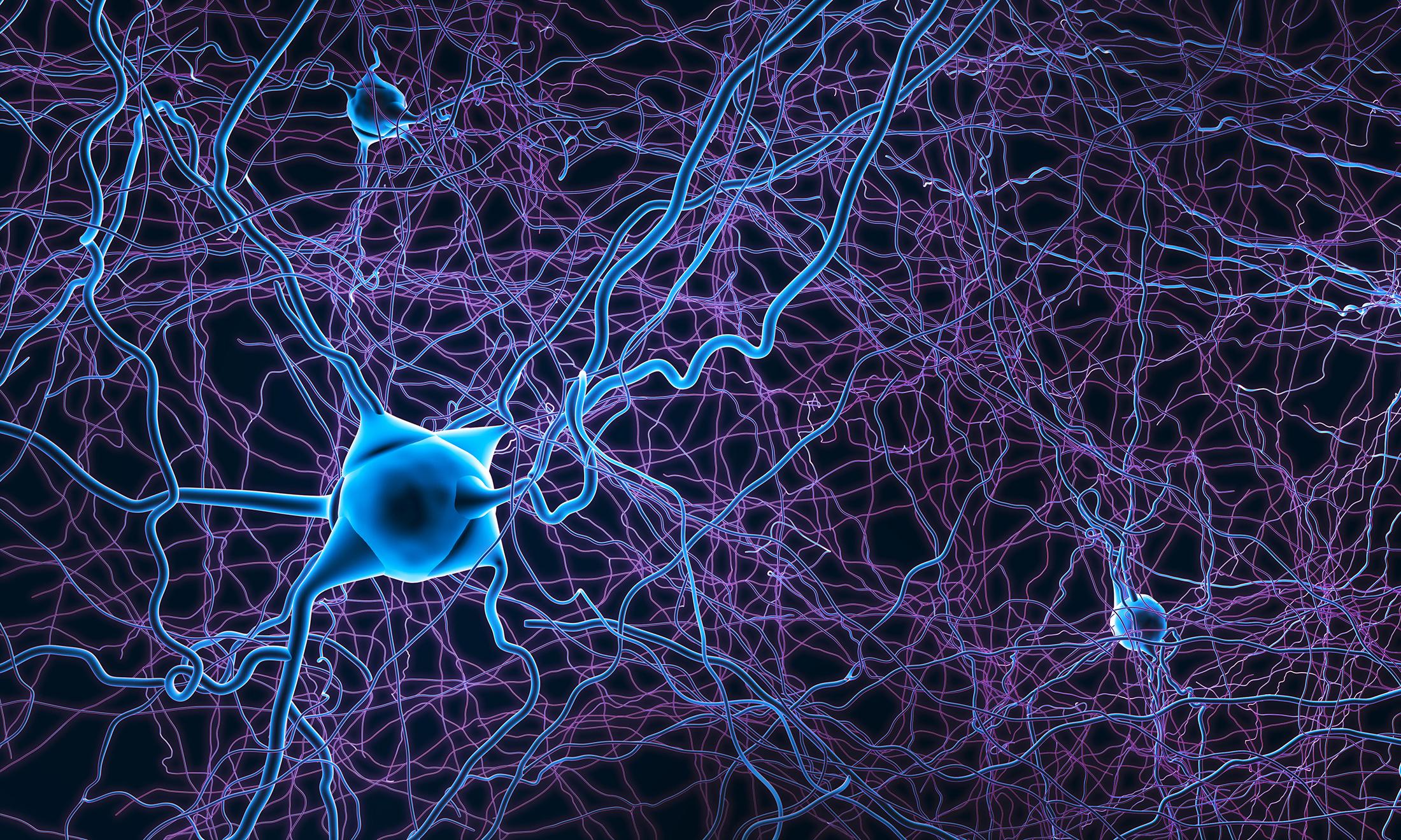 Neuroscience illustration